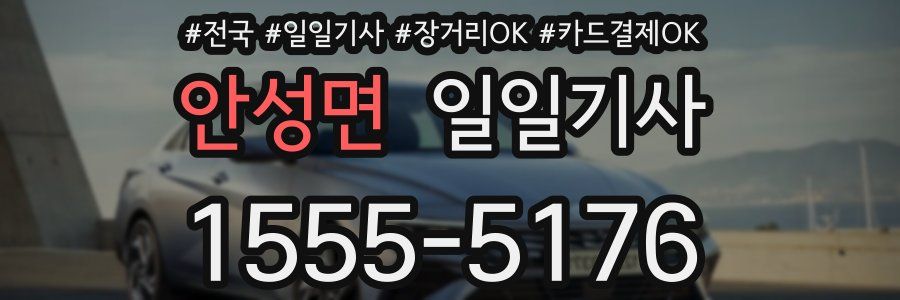 안성면 일일기사
