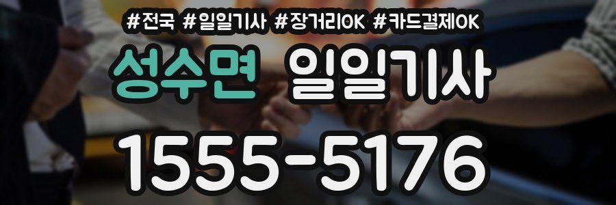 성수면 일일기사