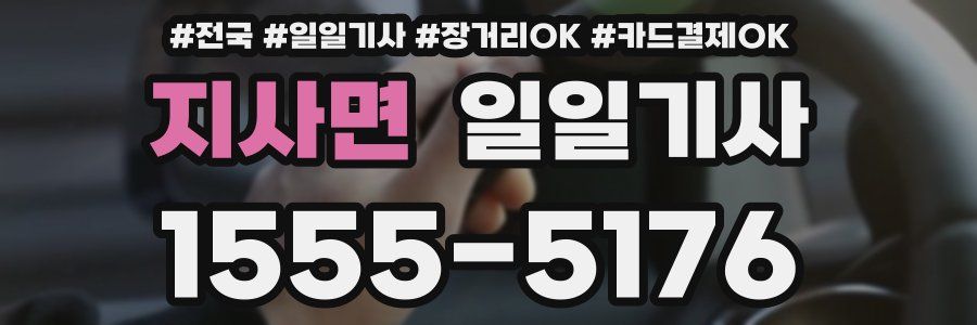 지사면 일일기사