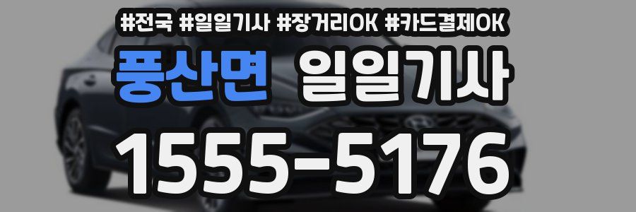 풍산면 일일기사