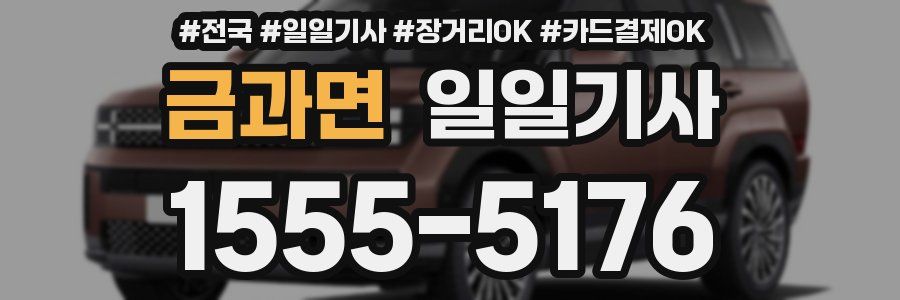 금과면 일일기사