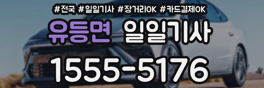 유등면 일일기사