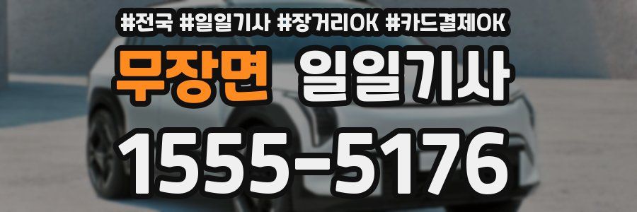 무장면 일일기사