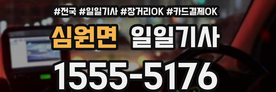 심원면 일일기사