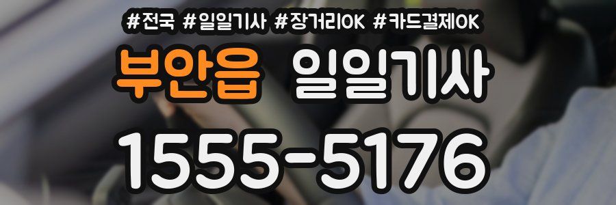 부안읍 일일기사