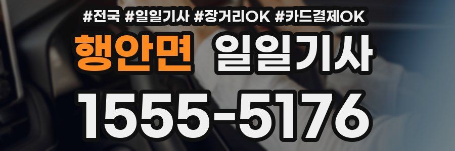 행안면 일일기사