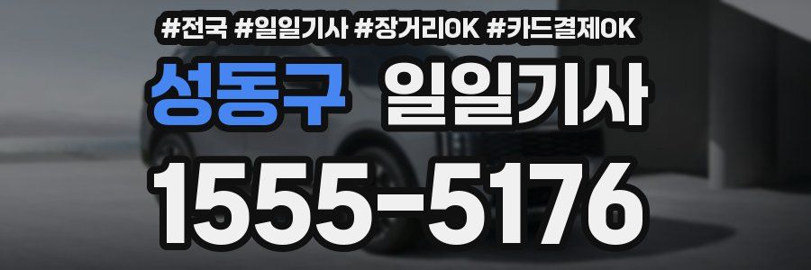 성동구 일일기사