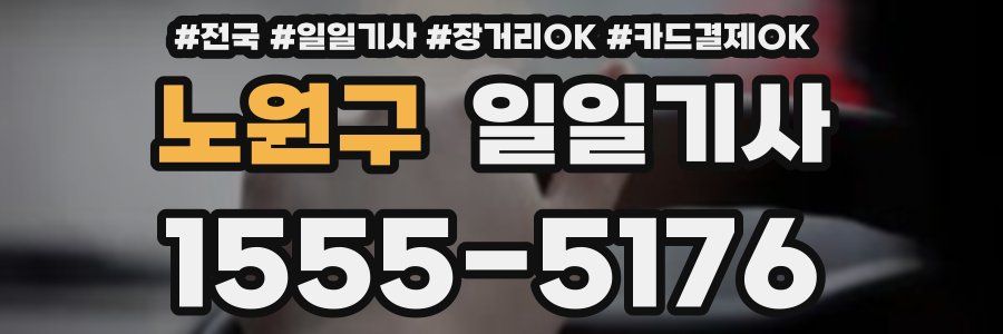 노원구 일일기사