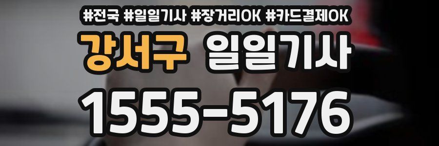 강서구 일일기사