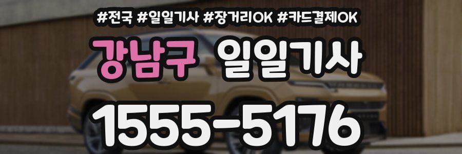 강남구 일일기사