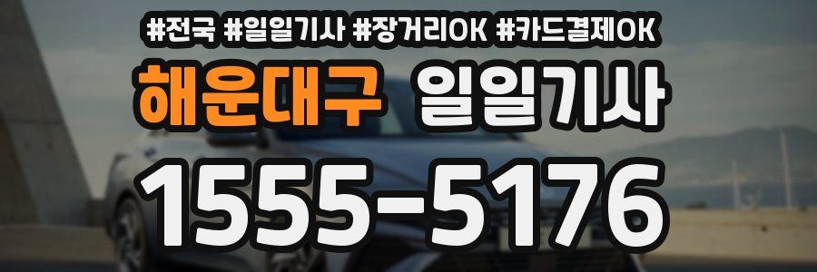 해운대구 일일기사