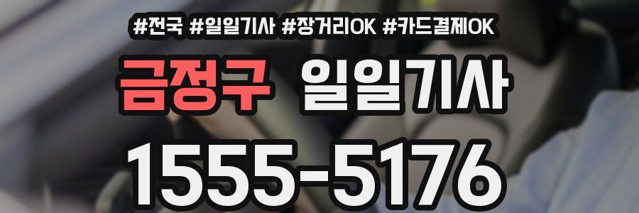 금정구 일일기사