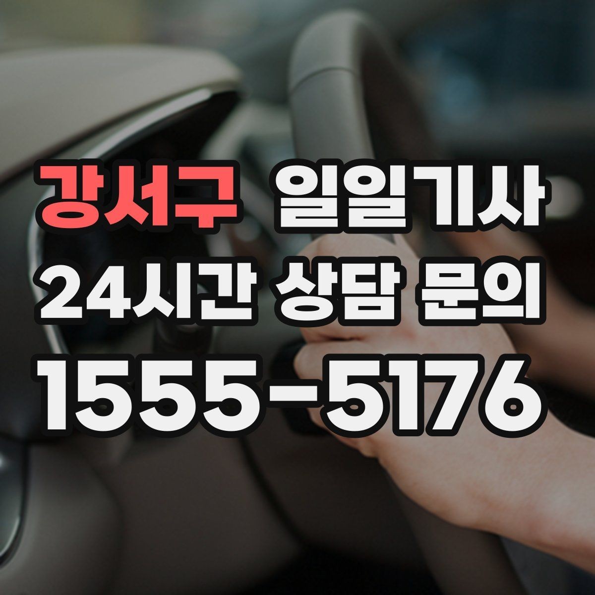 강서구 일일기사 단체 라운드 왕복이 한 번에 끝