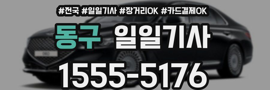 동구 일일기사