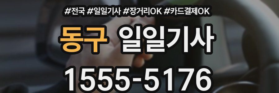 동구 일일기사