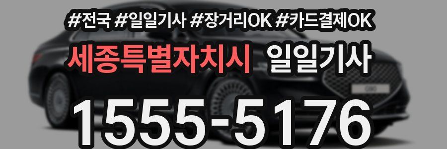 세종특별자치시 일일기사