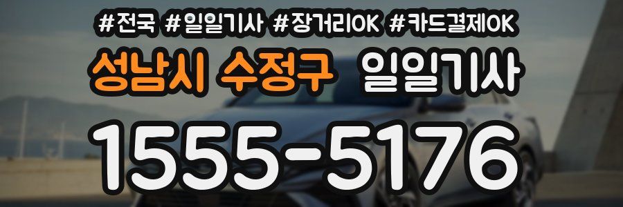 성남시 수정구 일일기사