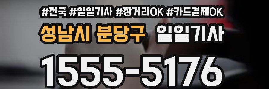 성남시 분당구 일일기사