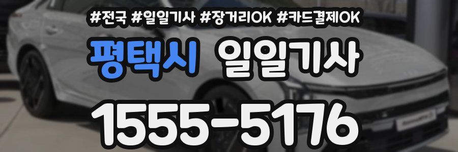 평택시 일일기사