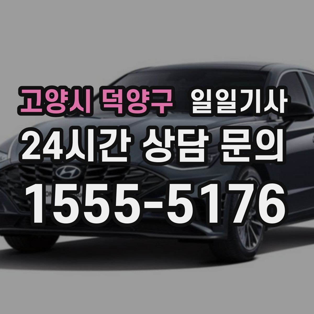 고양시 덕양구 일일기사 좌석과 온도도 미리 맞춰 드려요