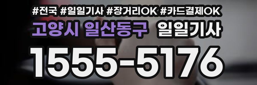 고양시 일산동구 일일기사