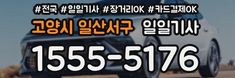 고양시 일산서구 일일기사