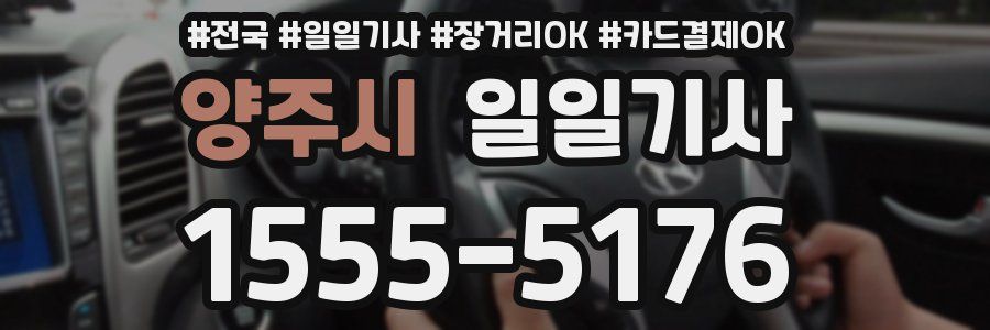 양주시 일일기사