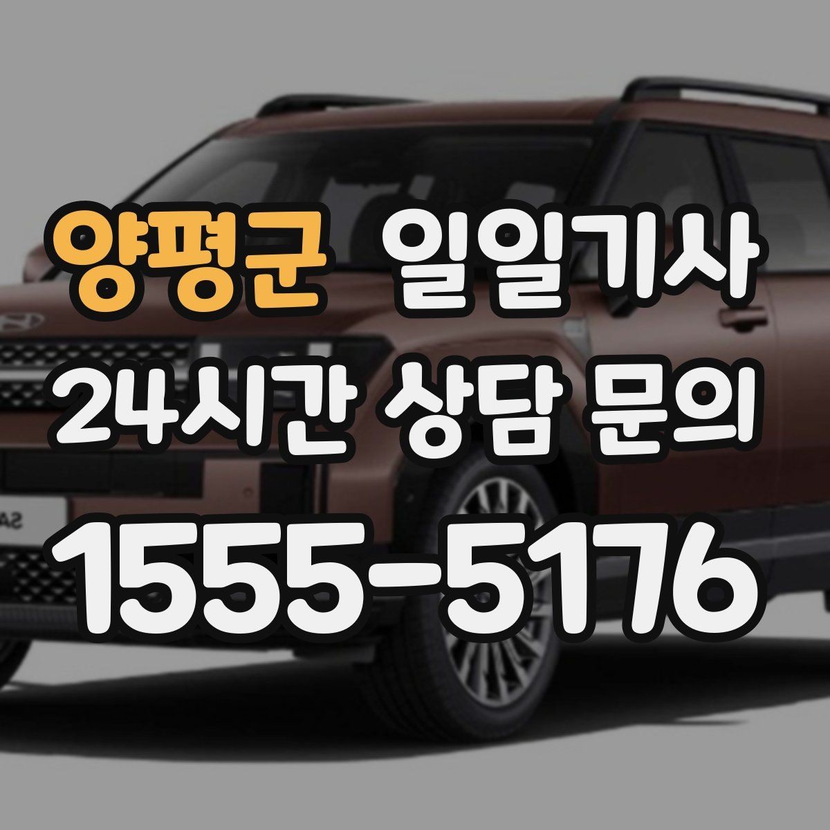 양평군 일일기사 조용한 주행으로 대화가 편한 이동