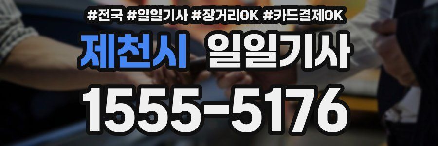 제천시 일일기사