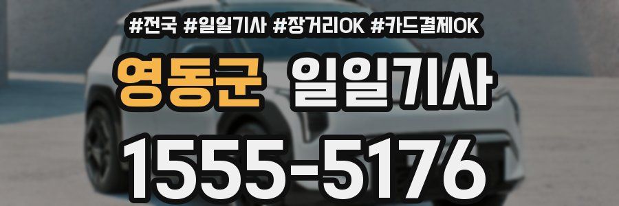 영동군 일일기사