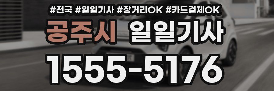 공주시 일일기사