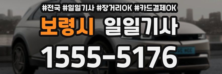 보령시 일일기사