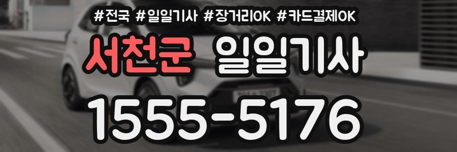 서천군 일일기사