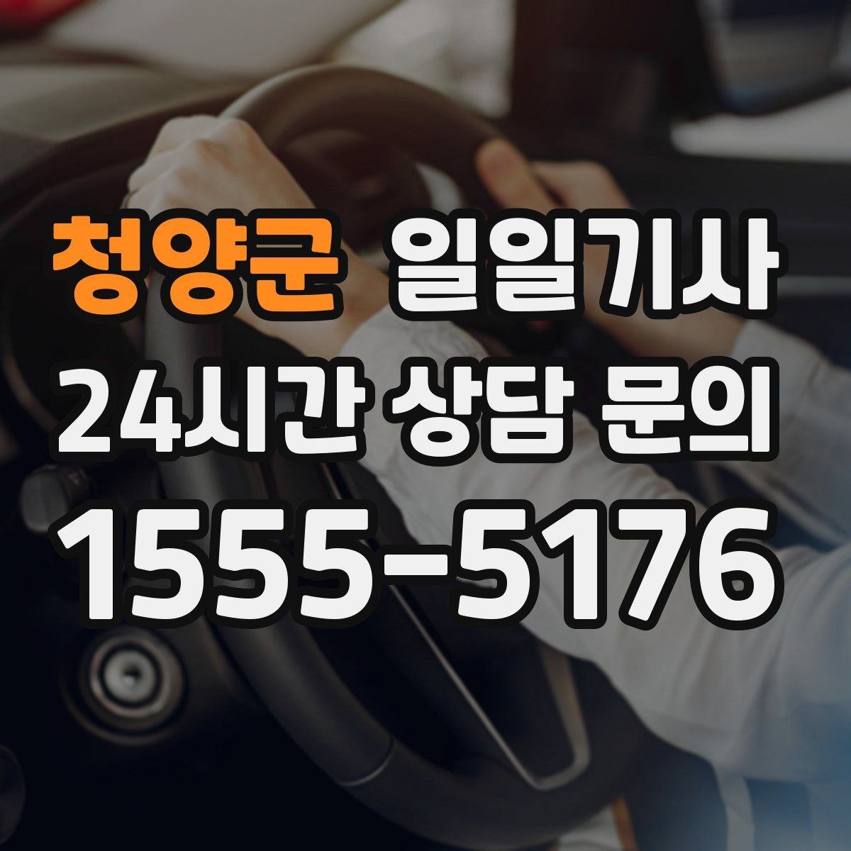 청양군 일일기사 공항 체크인 전 여유가 생기는 이유
