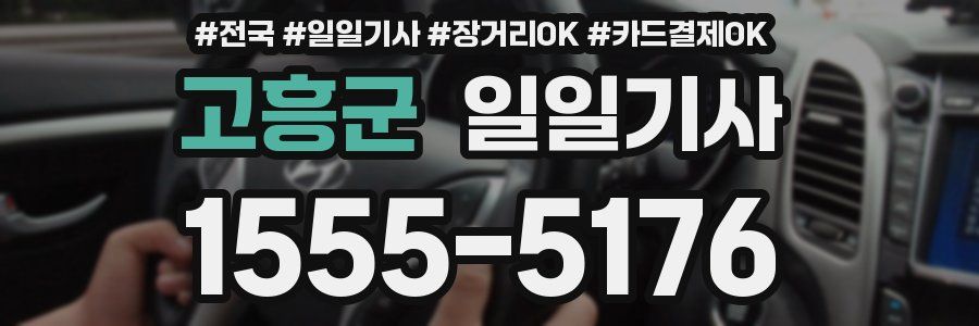 고흥군 일일기사