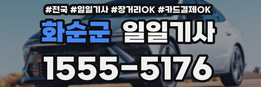 화순군 일일기사