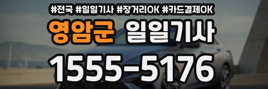 영암군 일일기사