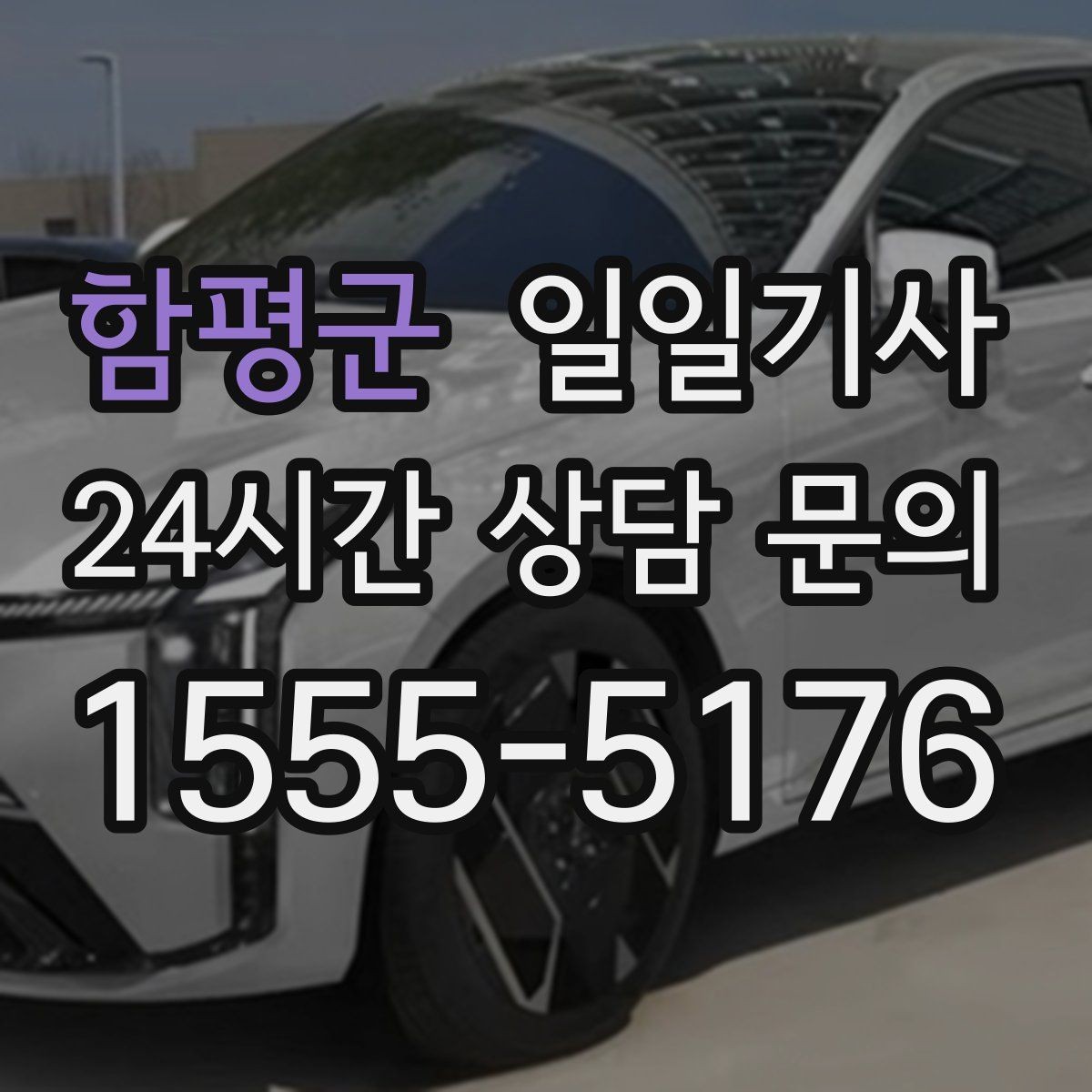 함평군 일일기사 행사 동선 주차 픽업까지