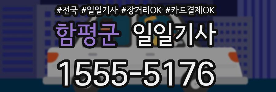 함평군 일일기사