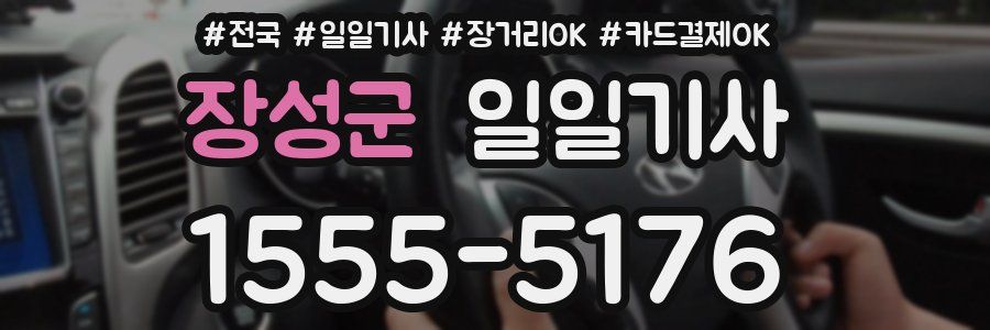 장성군 일일기사