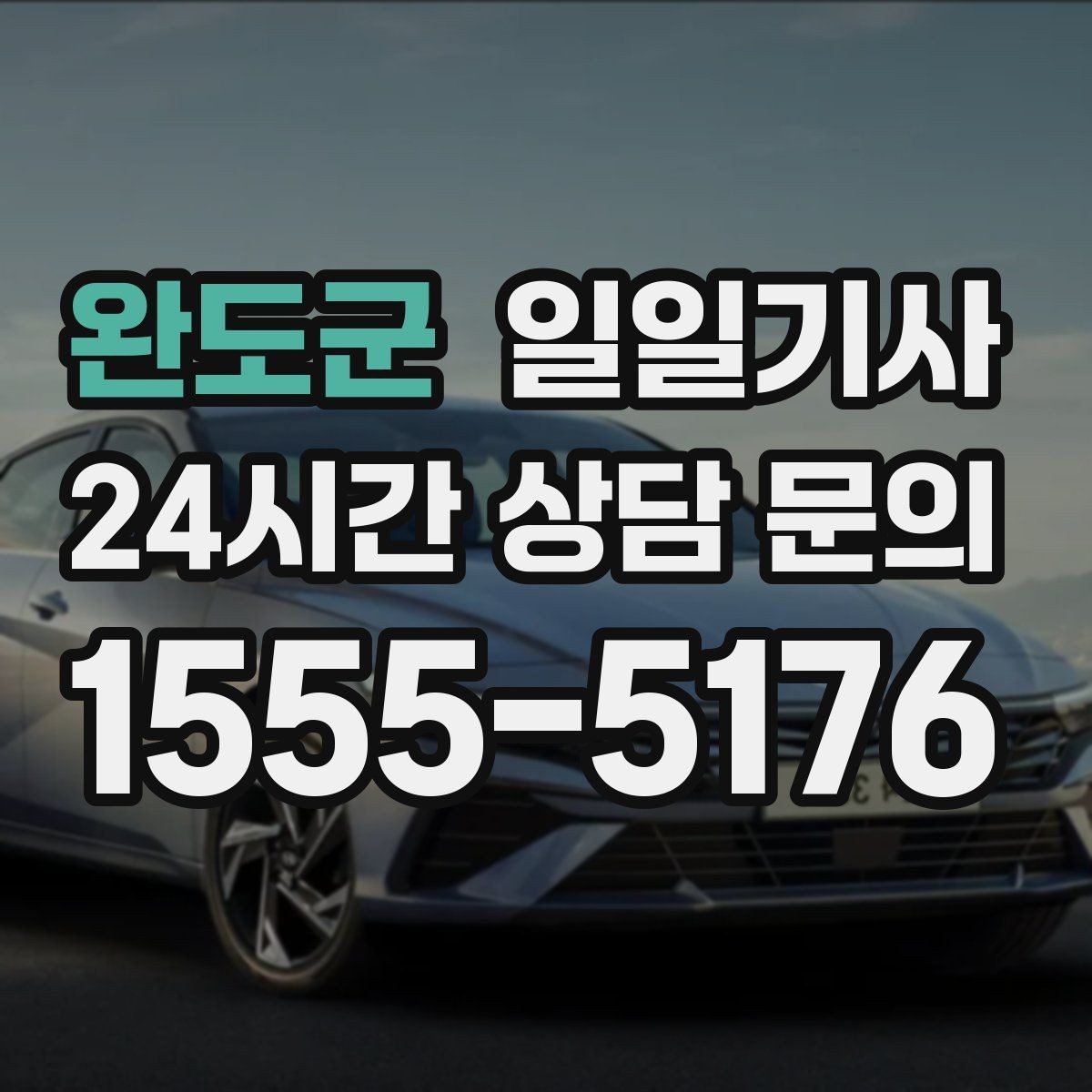 완도군 일일기사 조용한 주행 배려 동행