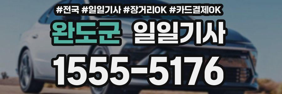 완도군 일일기사