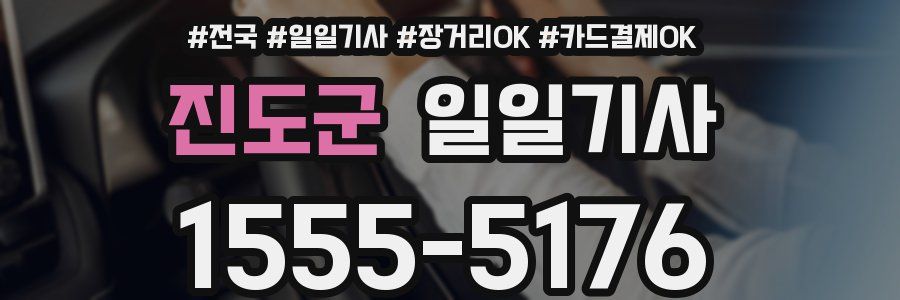 진도군 일일기사