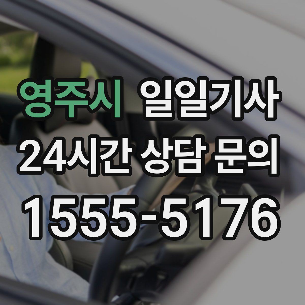 영주시 일일기사 급가속 없는 정숙 주행