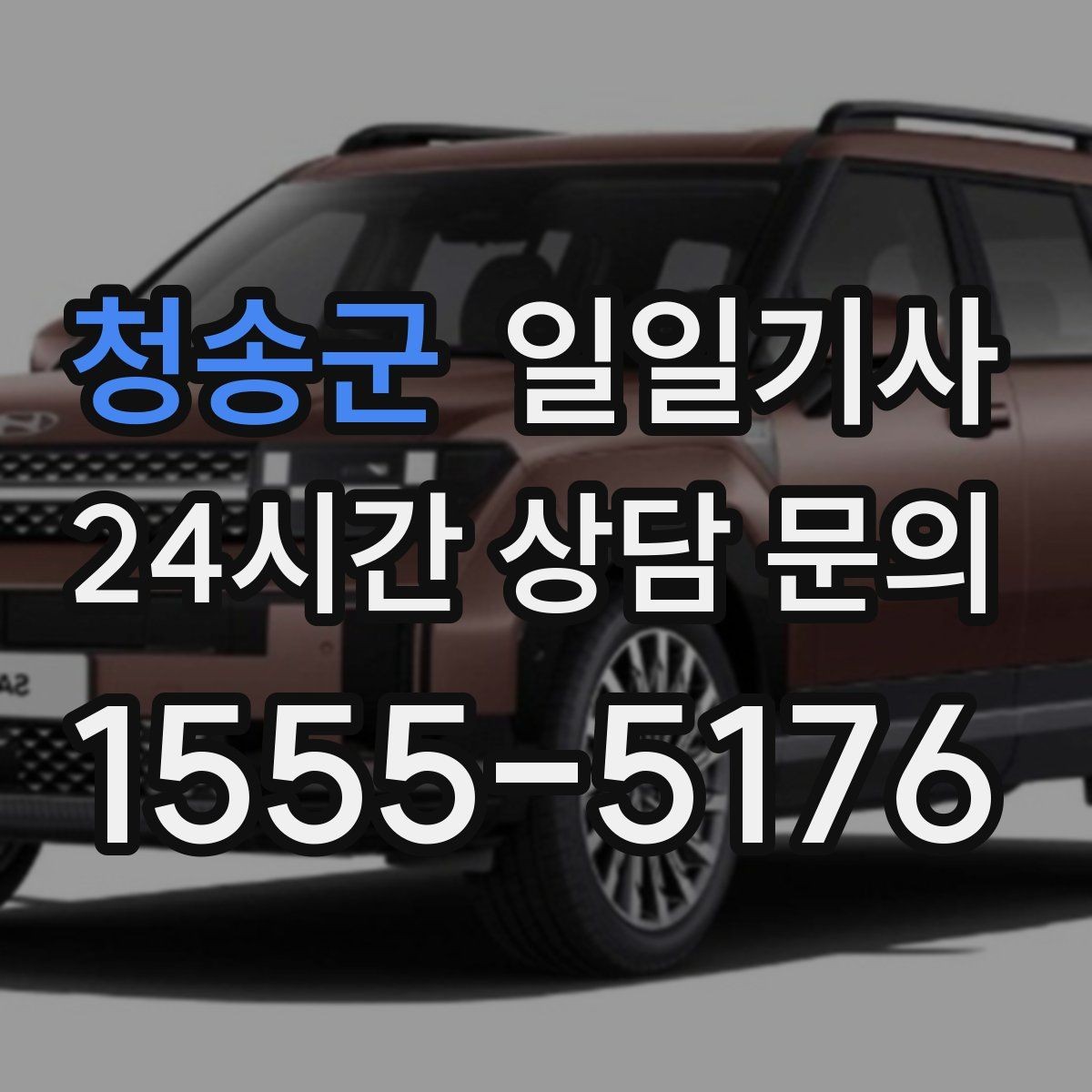 청송군 일일기사 도심 다중 경유 전담