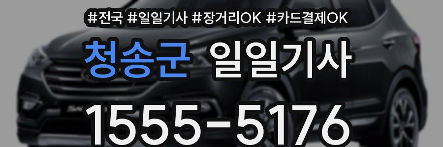 청송군 일일기사