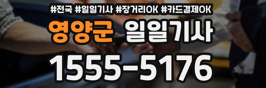 영양군 일일기사