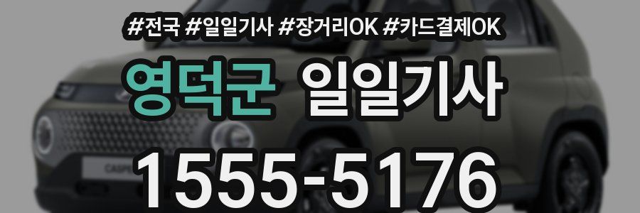 영덕군 일일기사