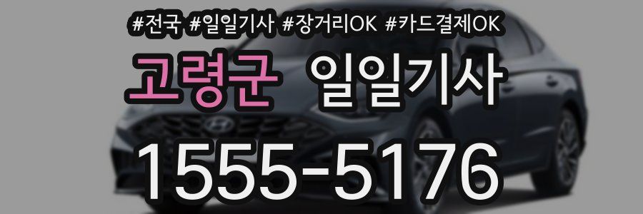 고령군 일일기사