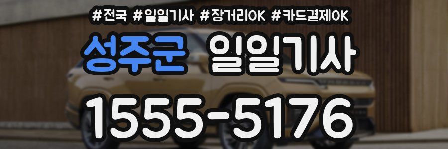 성주군 일일기사